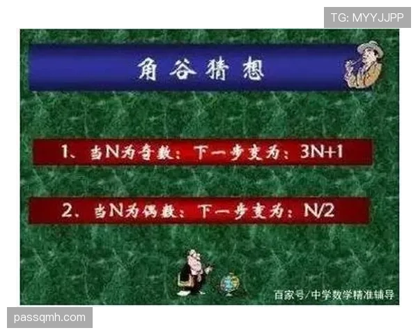 挑战判罚规则的流程与适用范围详解